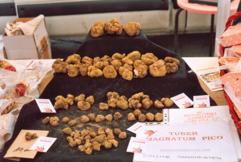 Fresh Tuber magnatum white truffles displayed at a market